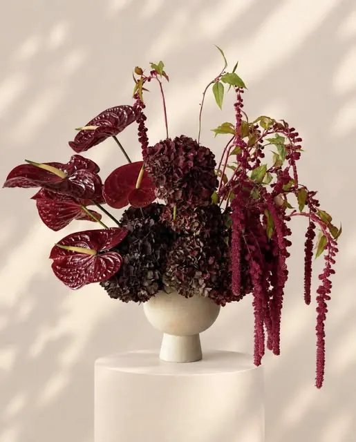 Burgundy anthurium, stone vase